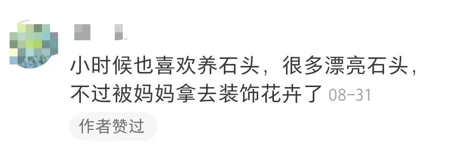 拒绝挖野菜的打工人，都在忙着给野生石头征婚